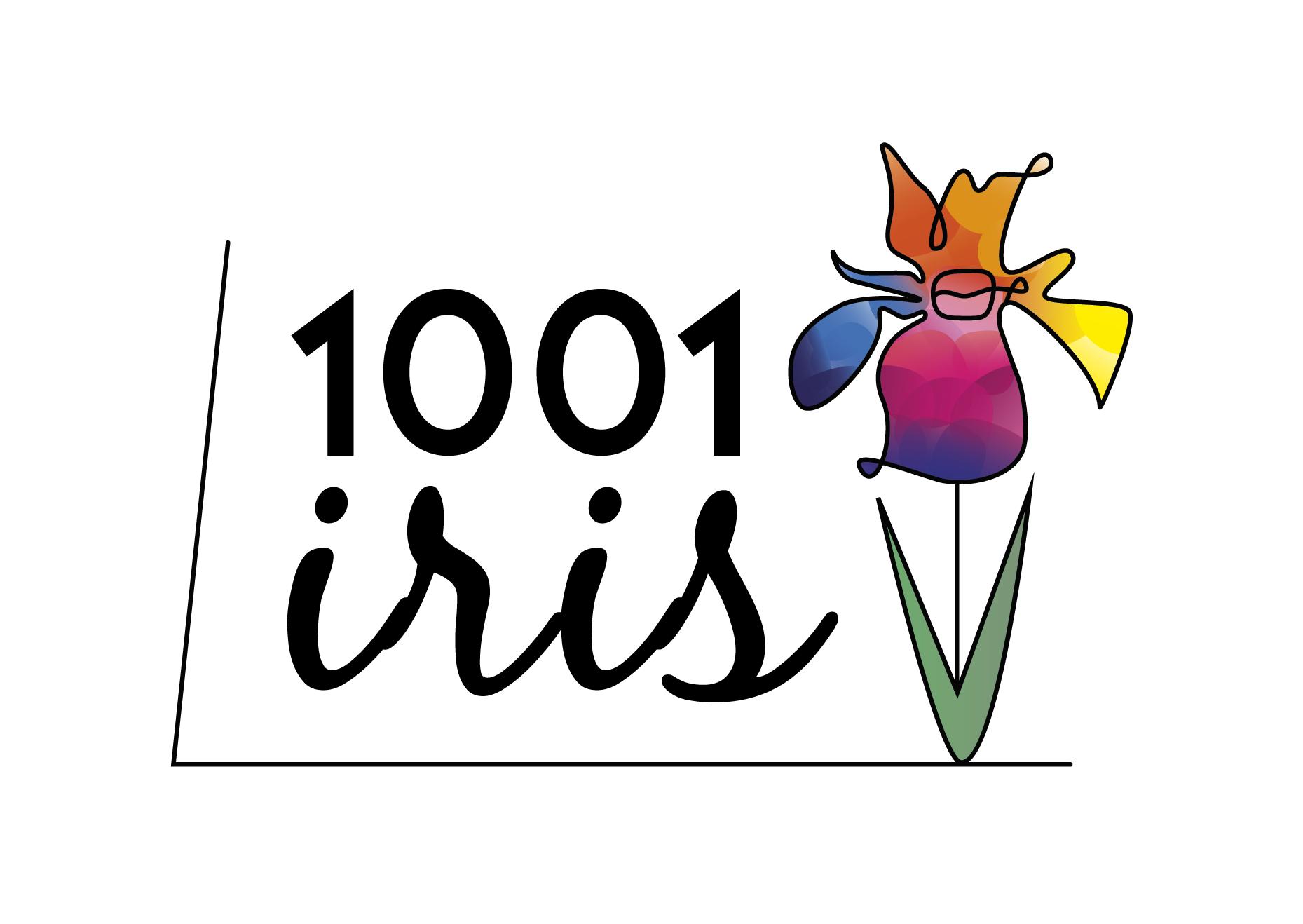 logo iris-duvalde-drome