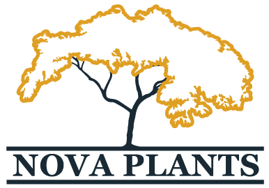 logo novaplants