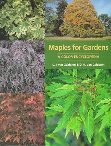 cover Maples for gardens - A color encyclopedia