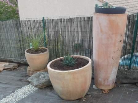 plantation du plateau centra!