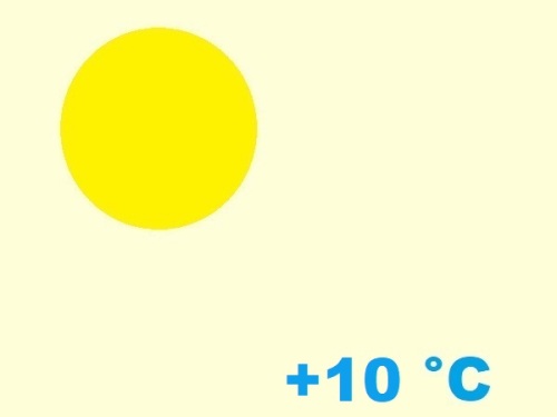 exposition-rusticité de euphorbiaceae euphorbia enopla