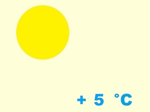 exposition-rusticité de cactaceae copiapoa humilis