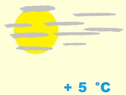 exposition-rusticité de cactaceae gymnocalycium stenopleurum