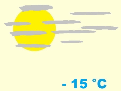 exposition-rusticité de cactaceae lobivia aurea