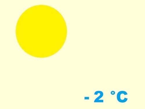 exposition-rusticité de cactaceae opuntia microdasys var. pallida f. undulata