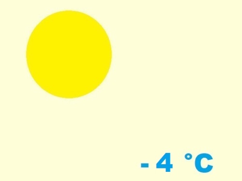 exposition-rusticité de cactaceae leuchtenbergia principis