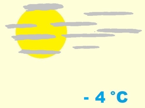 exposition-rusticité de cactaceae notocactus herteri ssp. roseoluteus