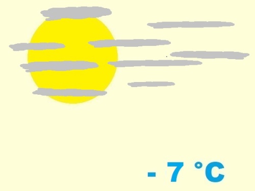 exposition-rusticité de agavaceae agave lophanta cv. 'quadricolor'