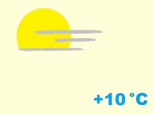 exposition-rusticité de cactaceae uebelmannia pectinifera