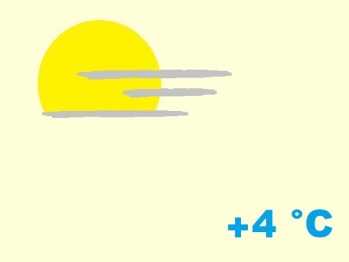 exposition-rusticité de cactaceae mammillaria bocasana