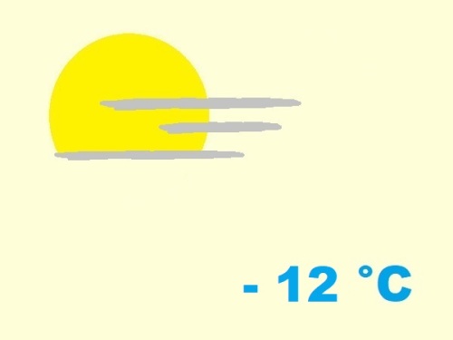 exposition-rusticité de agavaceae agave nigra