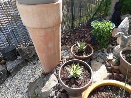 remplissage et finition de 'la source'