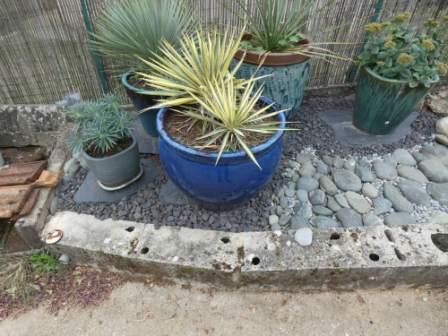 plantation de l'étang